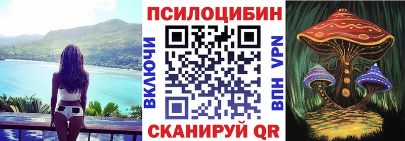 Псилоцибиновые грибы Cubensis  как найти   Змеиногорск 